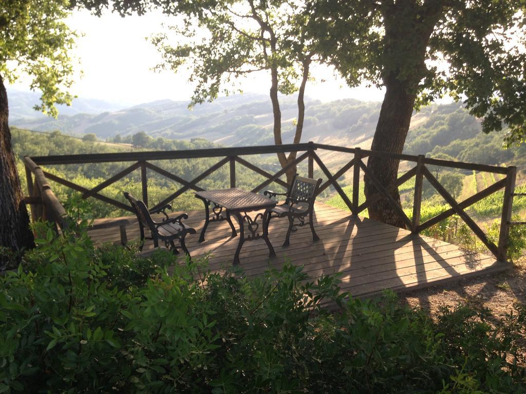 Agriturismo Erta Villa Casole dʼElsa Esterno foto
