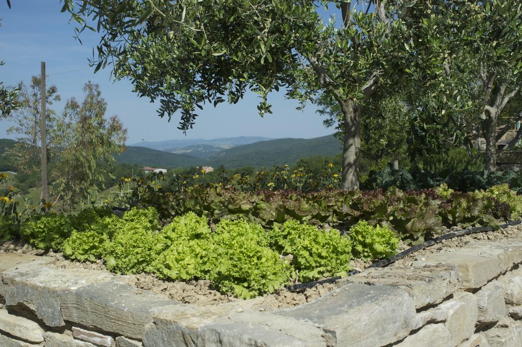 Agriturismo Erta Villa Casole dʼElsa Esterno foto