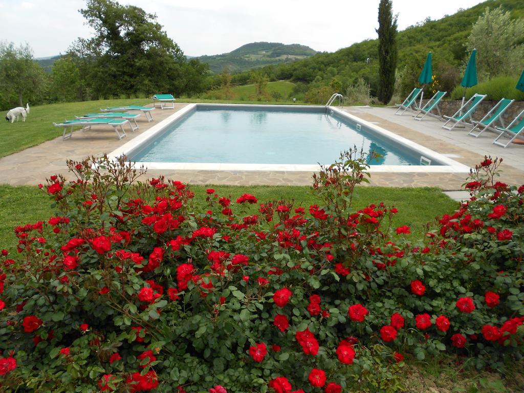 Agriturismo Erta Villa Casole dʼElsa Esterno foto