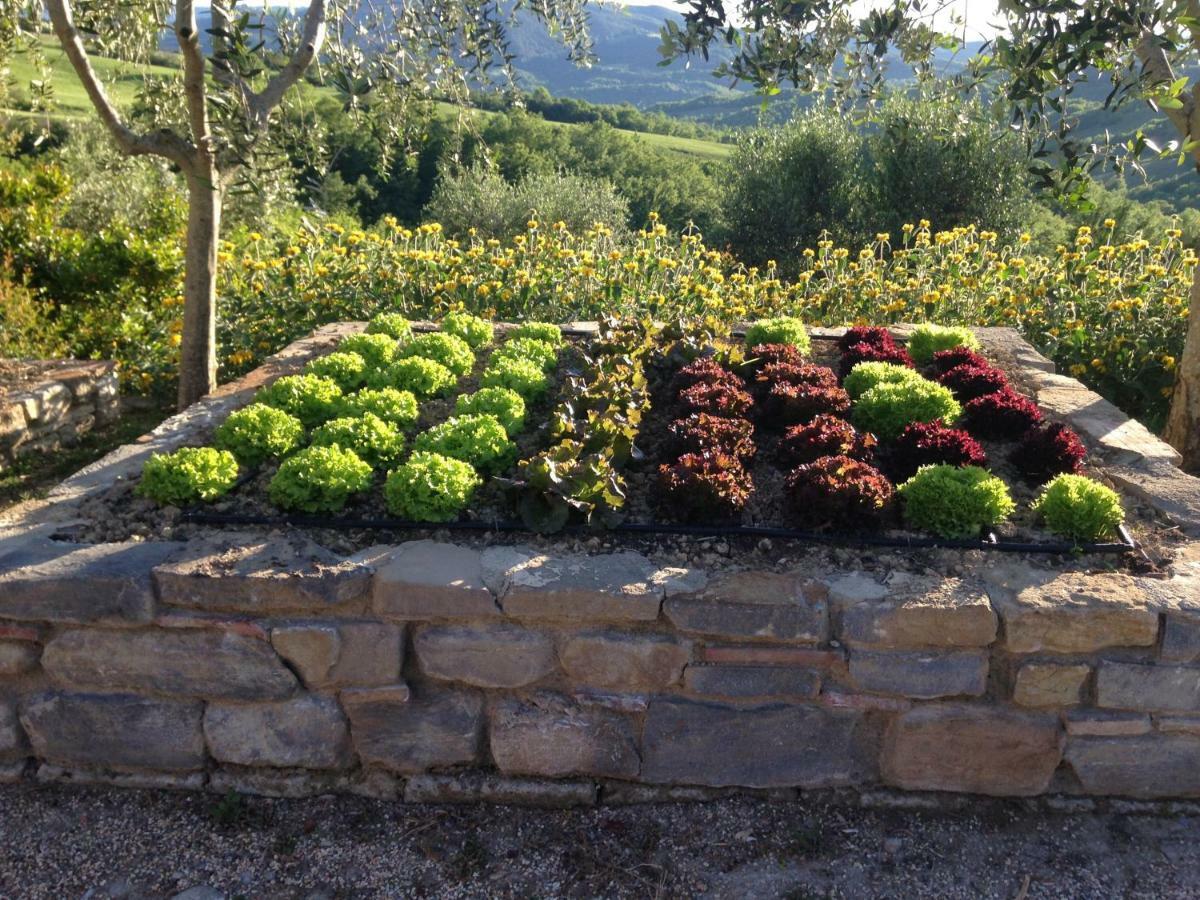 Agriturismo Erta Villa Casole dʼElsa Esterno foto