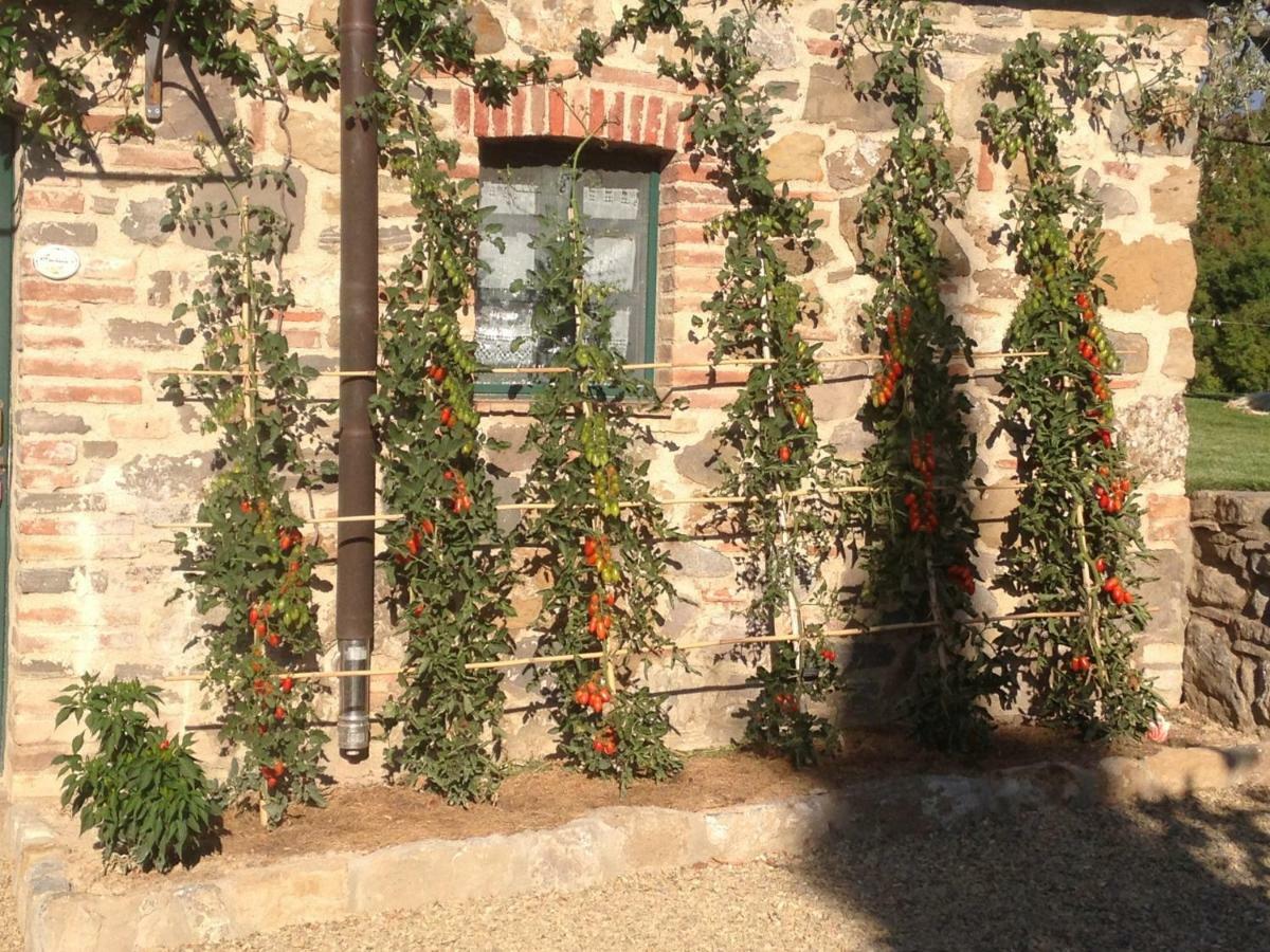 Agriturismo Erta Villa Casole dʼElsa Esterno foto