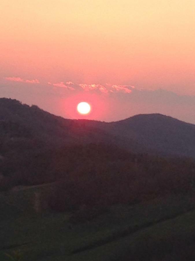 Agriturismo Erta Villa Casole dʼElsa Esterno foto