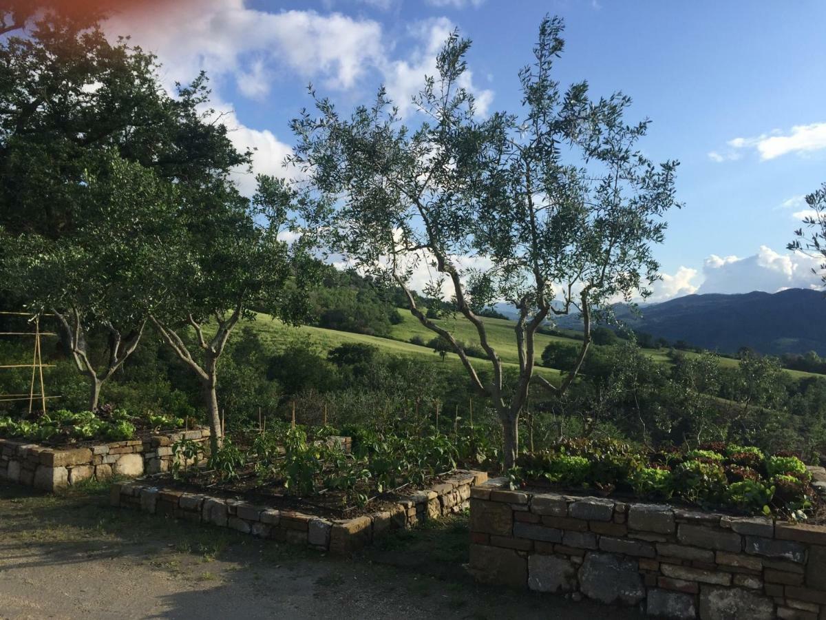 Agriturismo Erta Villa Casole dʼElsa Esterno foto